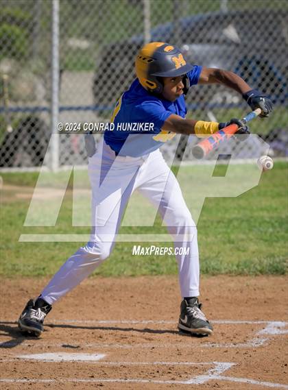 Thumbnail 1 in Gabrielino @ Muir photogallery.