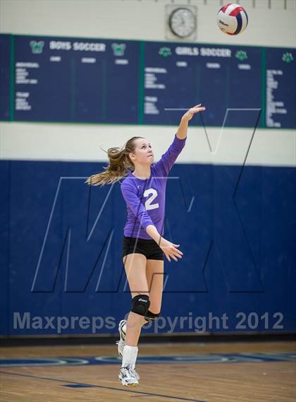 Thumbnail 3 in Potomac Falls @ Woodgrove photogallery.