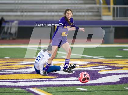 Thumbnail 2 in Bourgeois @ Thibodaux photogallery.