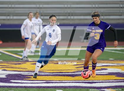 Thumbnail 1 in Bourgeois @ Thibodaux photogallery.