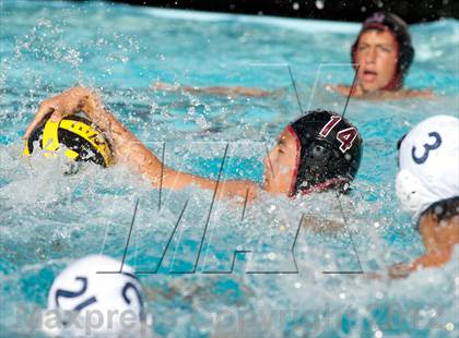 Thumbnail 3 in Gregori @ Modesto photogallery.