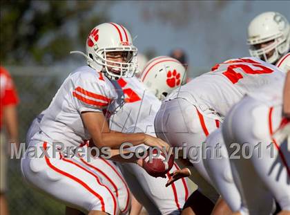 Thumbnail 1 in Poly @ Chadwick photogallery.