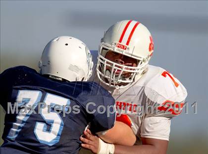 Thumbnail 2 in Poly @ Chadwick photogallery.