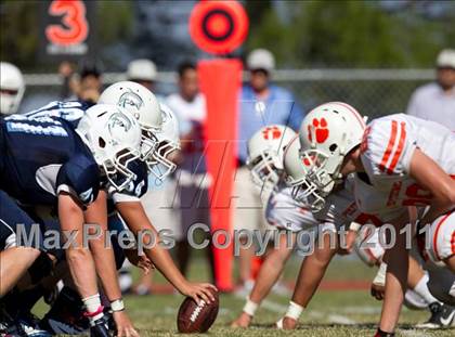 Thumbnail 3 in Poly @ Chadwick photogallery.