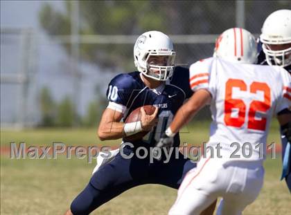 Thumbnail 2 in Poly @ Chadwick photogallery.