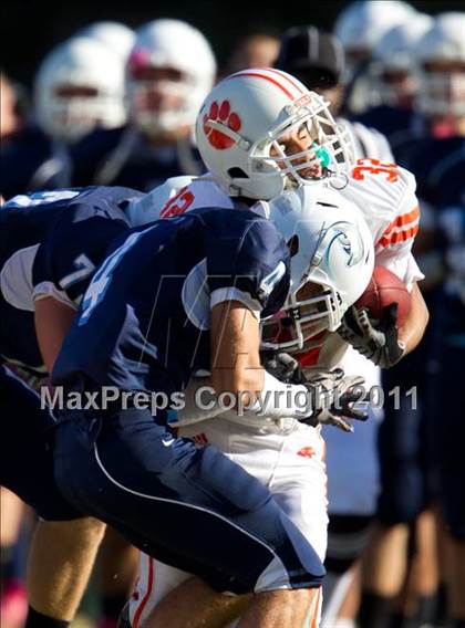 Thumbnail 1 in Poly @ Chadwick photogallery.