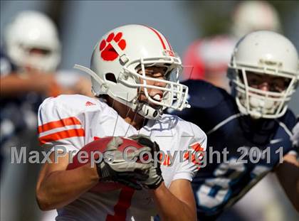 Thumbnail 2 in Poly @ Chadwick photogallery.