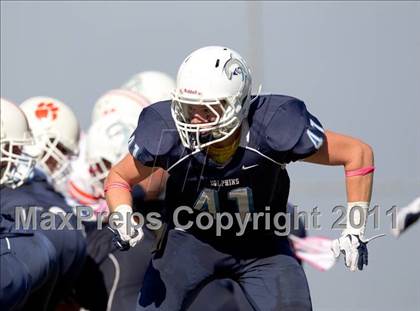 Thumbnail 2 in Poly @ Chadwick photogallery.