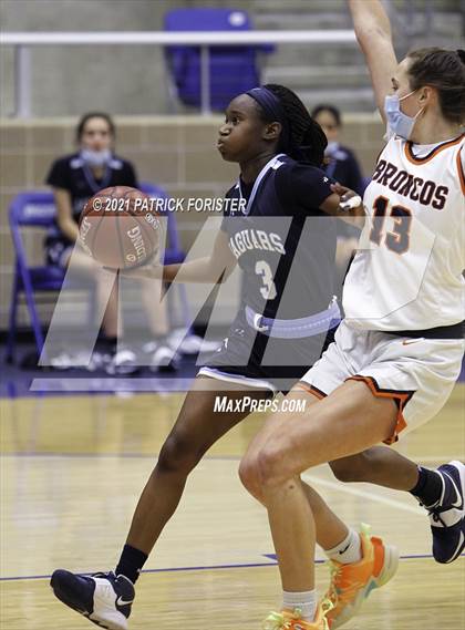 Thumbnail 1 in Johnson @ Brandeis photogallery.