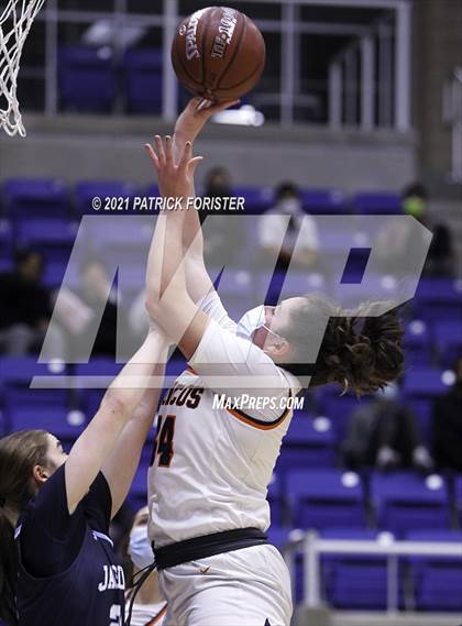 Thumbnail 1 in Johnson @ Brandeis photogallery.