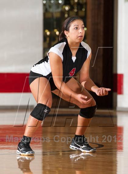 Thumbnail 3 in Martin @ Tascosa photogallery.