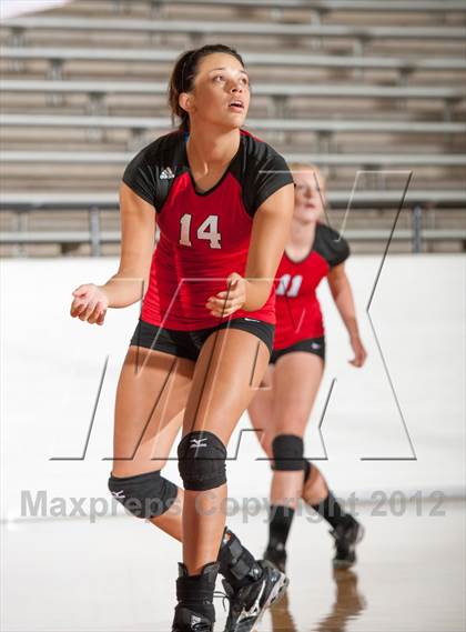 Thumbnail 2 in Martin @ Tascosa photogallery.