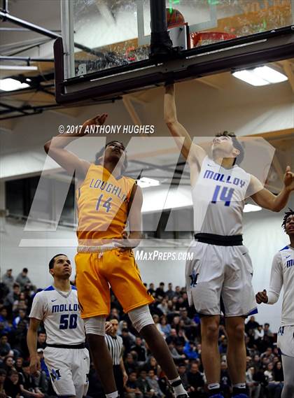 Thumbnail 3 in Bishop Loughlin vs. Archbishop Molloy (Catholic Class AA - Brooklyn/Queens Final) photogallery.