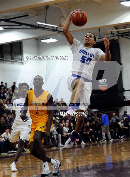 Thumbnail 1 in Bishop Loughlin vs. Archbishop Molloy (Catholic Class AA - Brooklyn/Queens Final) photogallery.