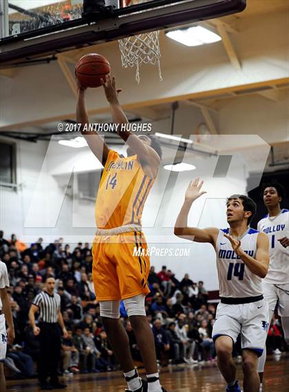 Thumbnail 1 in Bishop Loughlin vs. Archbishop Molloy (Catholic Class AA - Brooklyn/Queens Final) photogallery.