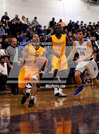 Thumbnail 1 in Bishop Loughlin vs. Archbishop Molloy (Catholic Class AA - Brooklyn/Queens Final) photogallery.