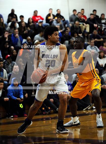 Thumbnail 1 in Bishop Loughlin vs. Archbishop Molloy (Catholic Class AA - Brooklyn/Queens Final) photogallery.