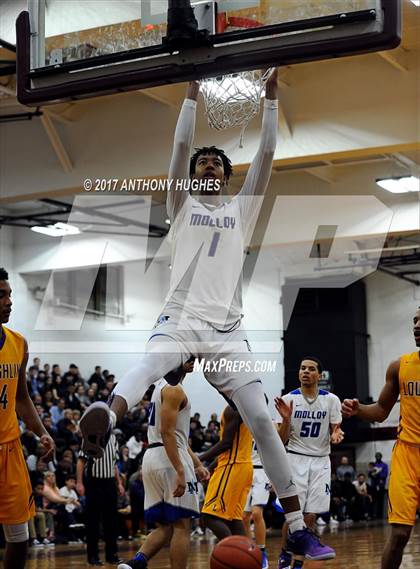 Thumbnail 1 in Bishop Loughlin vs. Archbishop Molloy (Catholic Class AA - Brooklyn/Queens Final) photogallery.