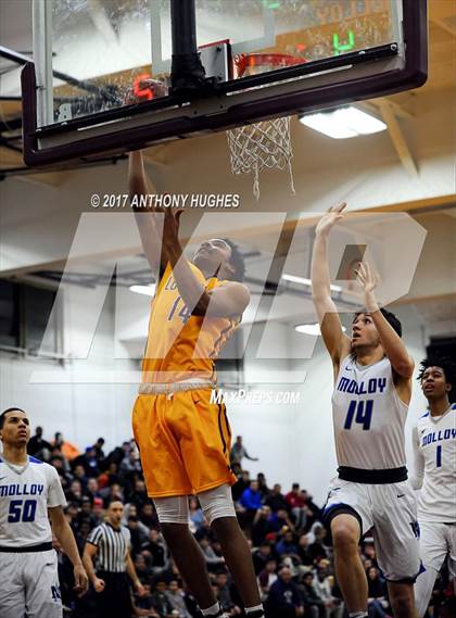 Thumbnail 2 in Bishop Loughlin vs. Archbishop Molloy (Catholic Class AA - Brooklyn/Queens Final) photogallery.
