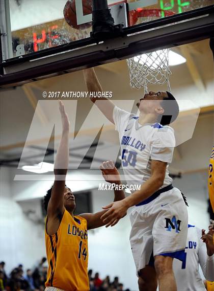 Thumbnail 1 in Bishop Loughlin vs. Archbishop Molloy (Catholic Class AA - Brooklyn/Queens Final) photogallery.