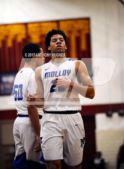 Thumbnail 1 in Bishop Loughlin vs. Archbishop Molloy (Catholic Class AA - Brooklyn/Queens Final) photogallery.