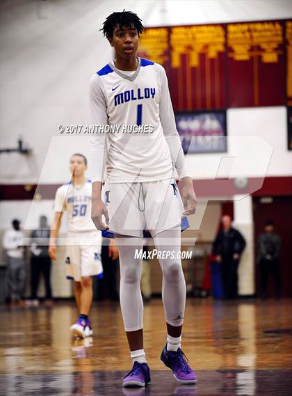 Thumbnail 3 in Bishop Loughlin vs. Archbishop Molloy (Catholic Class AA - Brooklyn/Queens Final) photogallery.