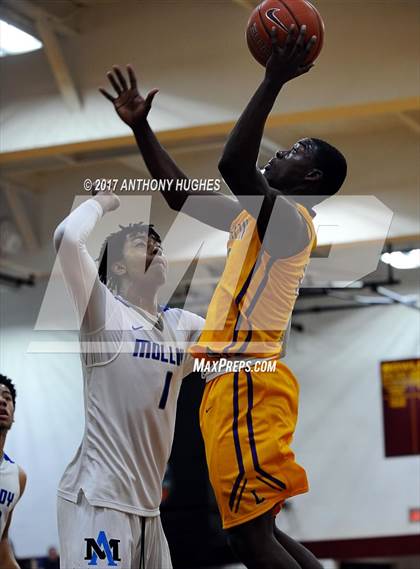 Thumbnail 1 in Bishop Loughlin vs. Archbishop Molloy (Catholic Class AA - Brooklyn/Queens Final) photogallery.