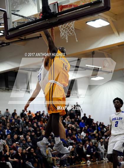 Thumbnail 3 in Bishop Loughlin vs. Archbishop Molloy (Catholic Class AA - Brooklyn/Queens Final) photogallery.