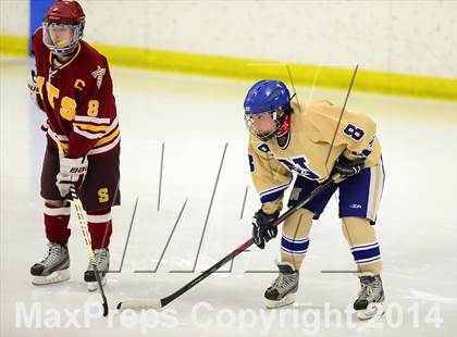 Thumbnail 3 in Sheehan vs. Newtown (SCC-SWC D3 Semifinal) photogallery.
