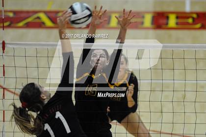 Thumbnail 1 in Torrey Pines vs. Canyon Crest Academy (CIF SDS Open Division Final) photogallery.