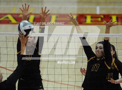 Thumbnail 3 in Torrey Pines vs. Canyon Crest Academy (CIF SDS Open Division Final) photogallery.