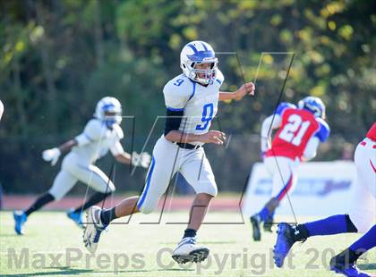 Thumbnail 3 in West Potomac @ T.C. Williams (MaxPreps Rivalry Series) photogallery.