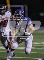 Photo from the gallery "Shelton @ Wilton"