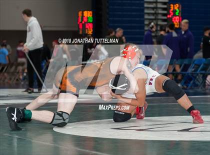 Thumbnail 2 in Fountain-Fort Carson vs Lewis-Palmer (Battle of the Best) photogallery.