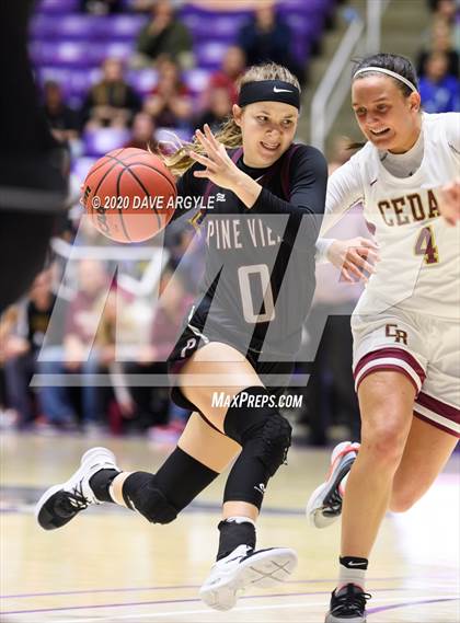 Thumbnail 3 in Pine View vs. Cedar (UHSAA 4A Final) photogallery.
