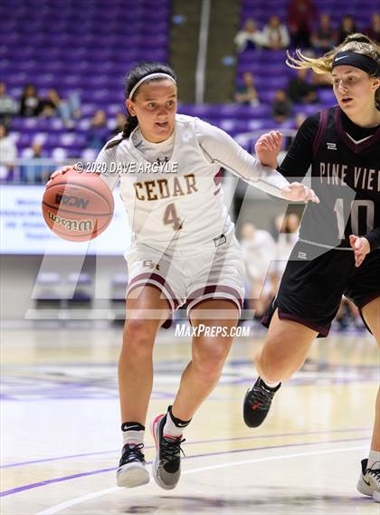 Thumbnail 3 in Pine View vs. Cedar (UHSAA 4A Final) photogallery.