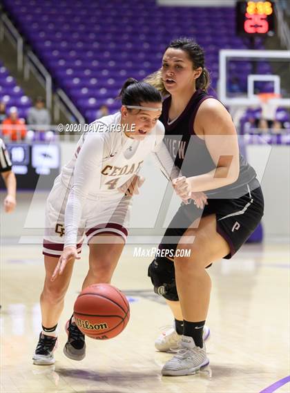 Thumbnail 1 in Pine View vs. Cedar (UHSAA 4A Final) photogallery.