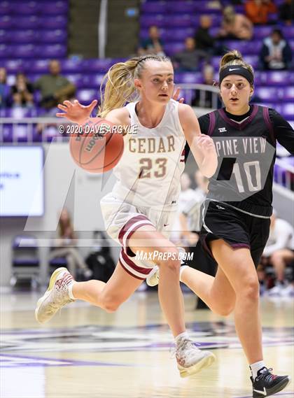Thumbnail 1 in Pine View vs. Cedar (UHSAA 4A Final) photogallery.