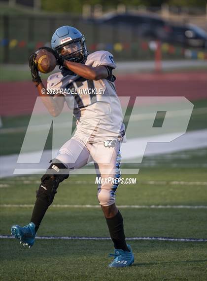 Thumbnail 3 in Grandview @ Chrisman photogallery.