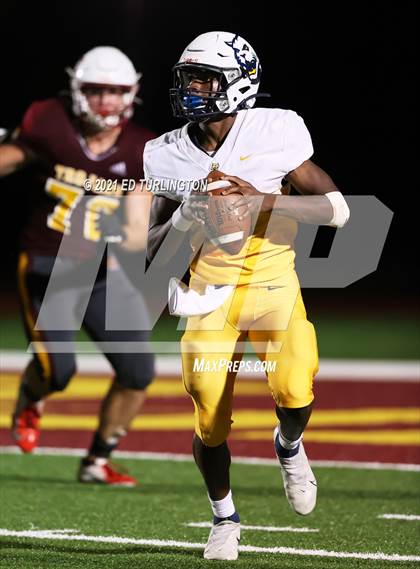 Thumbnail 1 in Wheeler @ Lassiter photogallery.