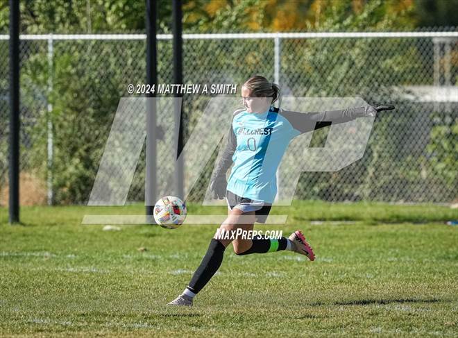 null - Photo 11