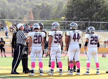 Thumbnail 3 in Justin-Siena @ Novato photogallery.