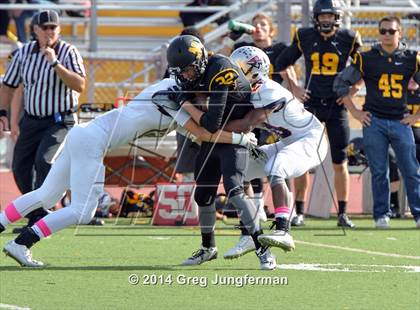 Thumbnail 1 in Justin-Siena @ Novato photogallery.