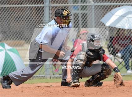 Thumbnail 3 in Destrehan @ Bourgeois photogallery.