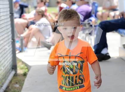 Thumbnail 1 in Destrehan @ Bourgeois photogallery.