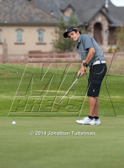 Thumbnail 3 in Pikes Peak Athletic Conference Tournament photogallery.