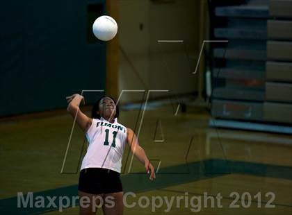 Thumbnail 3 in Calhoun @ Elmont Memorial photogallery.