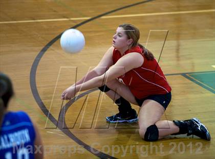 Thumbnail 1 in Calhoun @ Elmont Memorial photogallery.