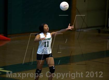 Thumbnail 1 in Calhoun @ Elmont Memorial photogallery.