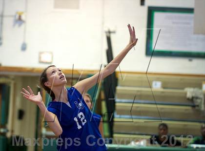 Thumbnail 3 in Calhoun @ Elmont Memorial photogallery.